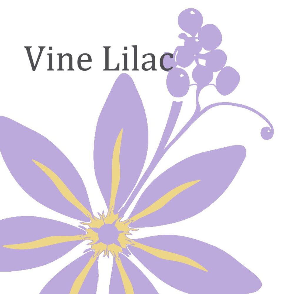 Meet your Posher, Vine